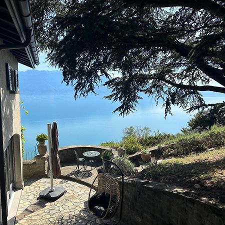 Panoramic Room In The Vineyard,Stunning Views Of Lake And Alps Puidoux Exterior photo