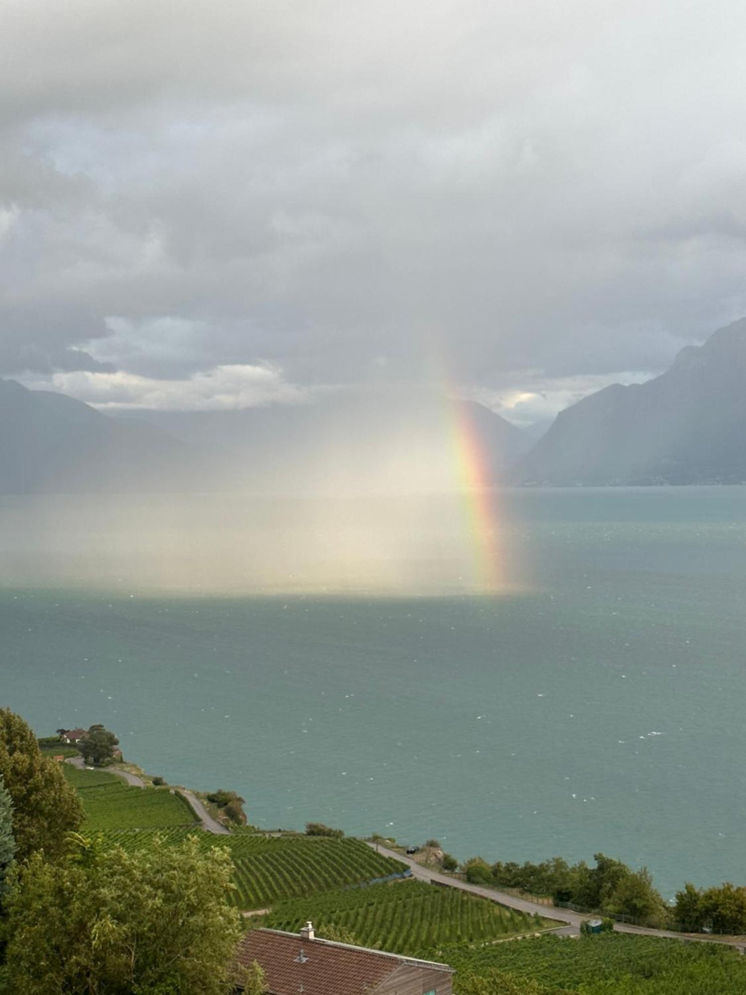 Panoramic Room In The Vineyard,Stunning Views Of Lake And Alps Puidoux Exterior photo