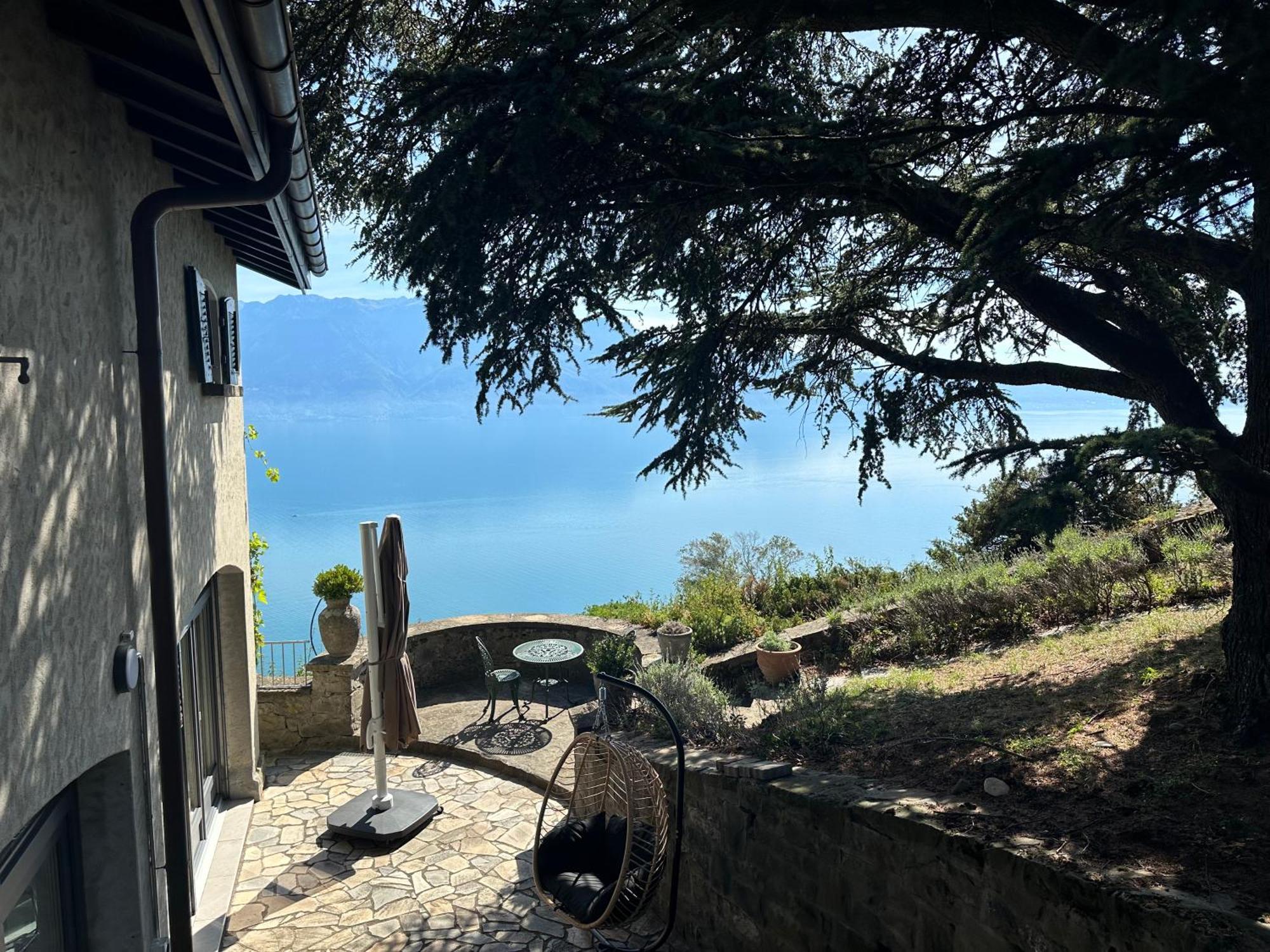 Panoramic Room In The Vineyard,Stunning Views Of Lake And Alps Puidoux Exterior photo