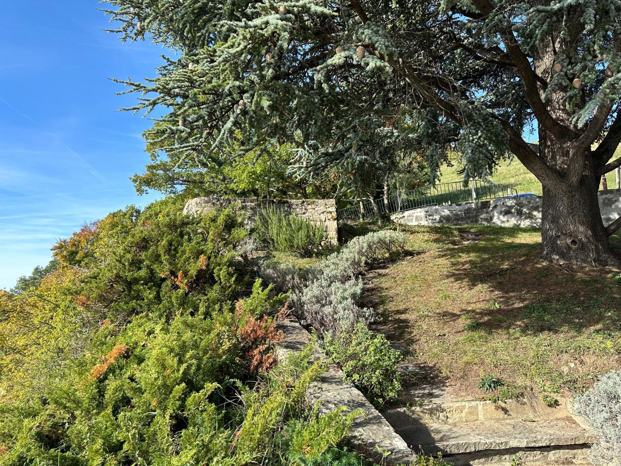 Panoramic Room In The Vineyard,Stunning Views Of Lake And Alps Puidoux Exterior photo