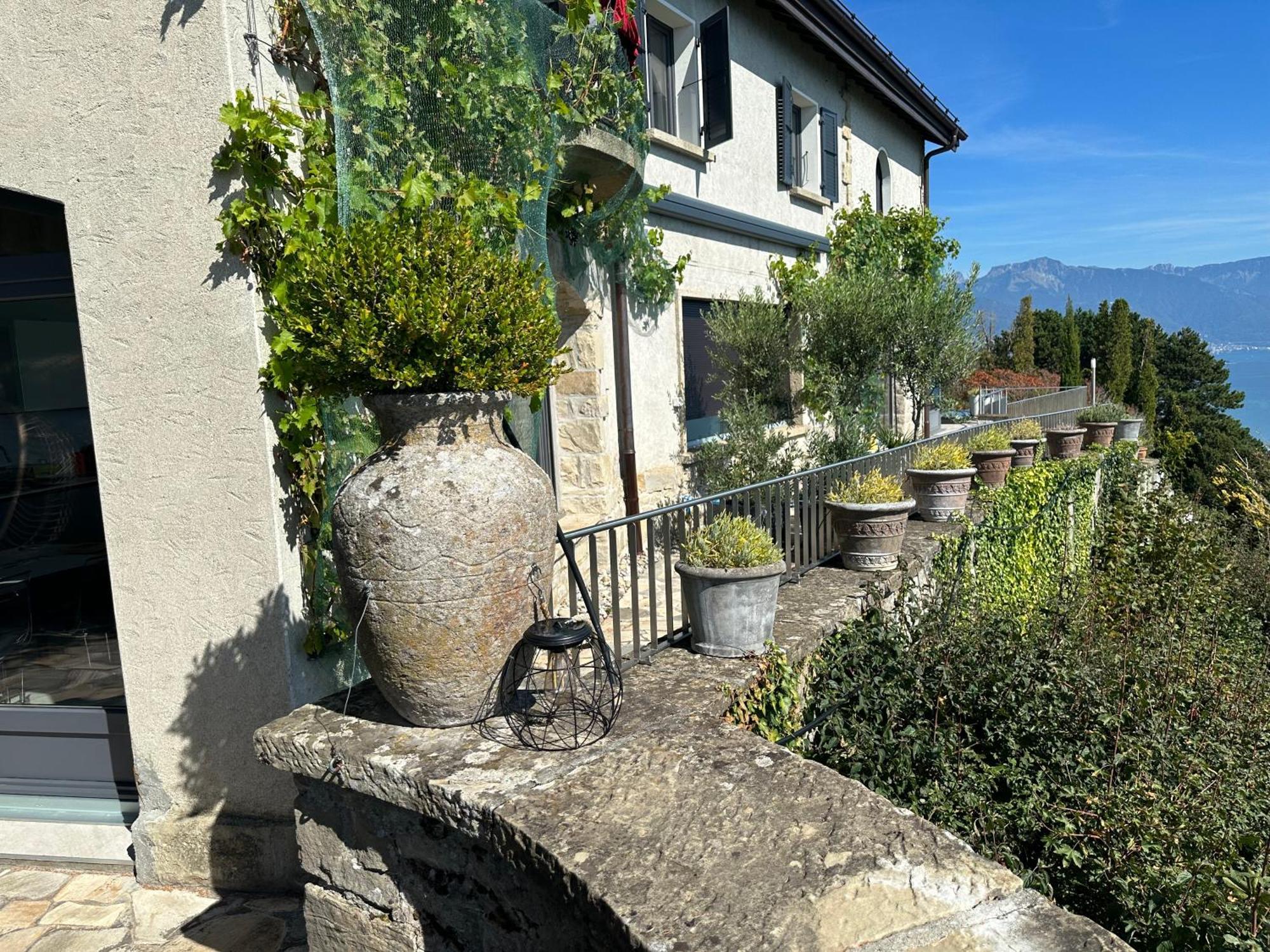 Panoramic Room In The Vineyard,Stunning Views Of Lake And Alps Puidoux Exterior photo