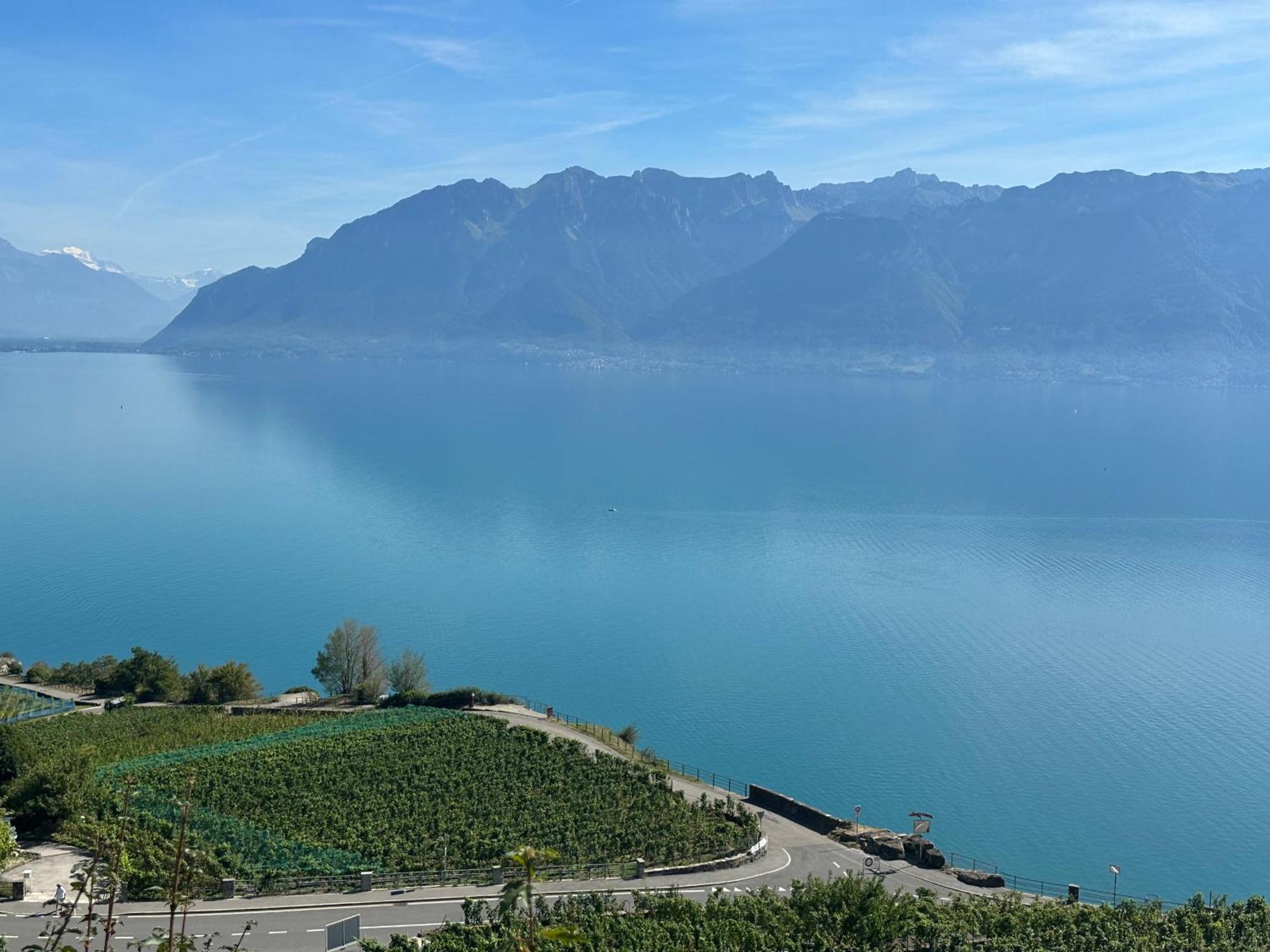 Panoramic Room In The Vineyard,Stunning Views Of Lake And Alps Puidoux Exterior photo